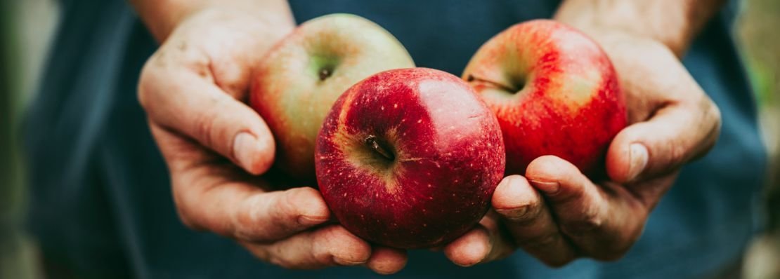 Industriegruppe Agrar