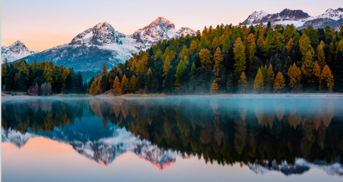 Swiss Biotech Report 2025: International alliances strengthen industry