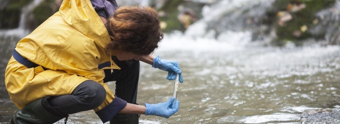 Le poison et la dose – Une grande panique pour de petites valeurs ?