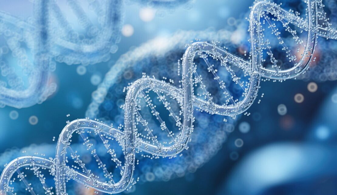 Jahresbericht 2025 - Unsere Themen und Perspektiven