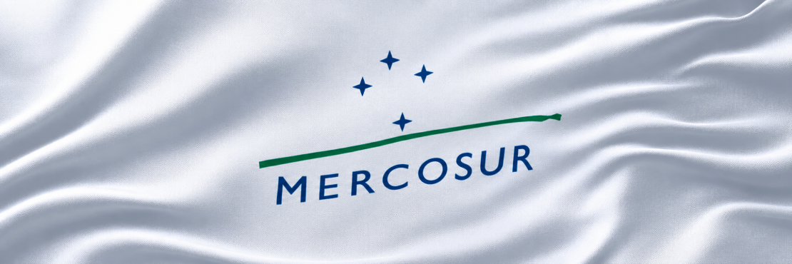 Mercosur: Ein Nein zur falschen Zeit